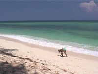 08 Shelling on a great deserted beach