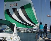 024: Barking Spider, 28 Jul 2002