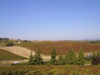 049: Wine Country, 2-3 Oct 2004
