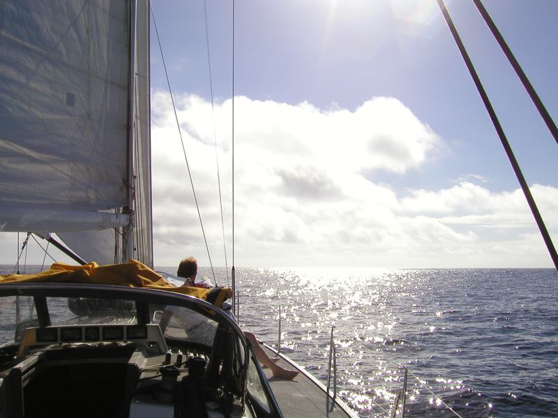 09 Oliver reading in the morning sun