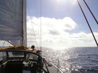 09 Oliver reading in the morning sun