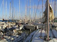 09 Racing sailboats on Sunday morning