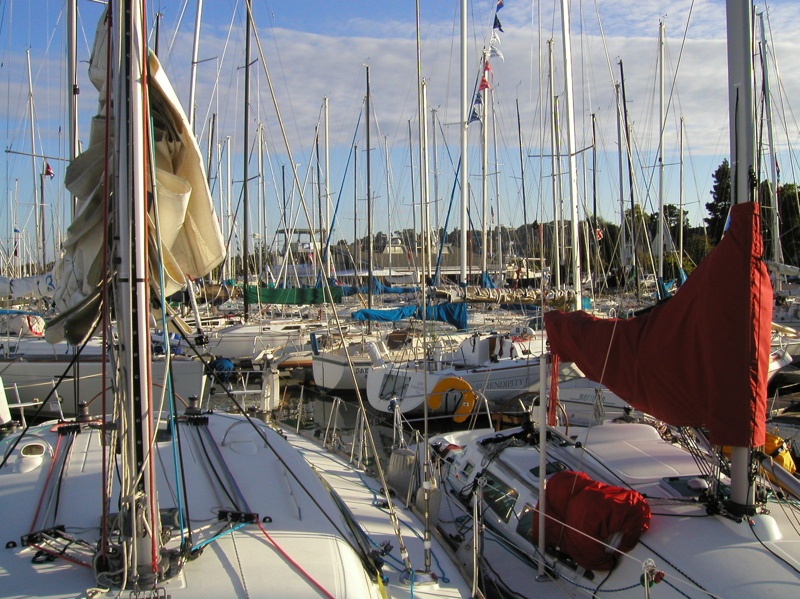 10 Racing sailboats on Sunday morning
