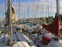 10 Racing sailboats on Sunday morning