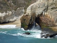 194: Bonny Doon Beach, 12 Aug 2012