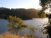 039: Lake Chabot, May 2004