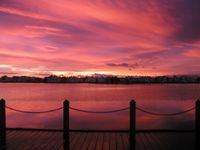 074: Dawn in Foster City, 3 Jan 2006