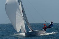 5o5 NAC D4 13-33-40 P1150351