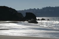 221: On the Beach, 26 Nov 2014