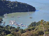 254: Angel Island Cruise, Nov 2024
