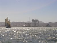 03 Alma and cranes #1