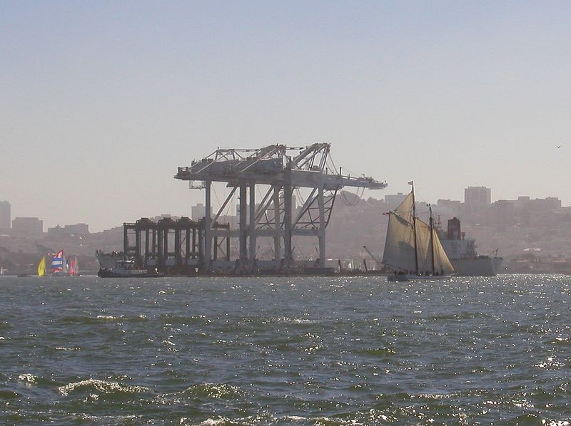 04 Alma and cranes #1