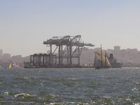 04 Alma and cranes #1