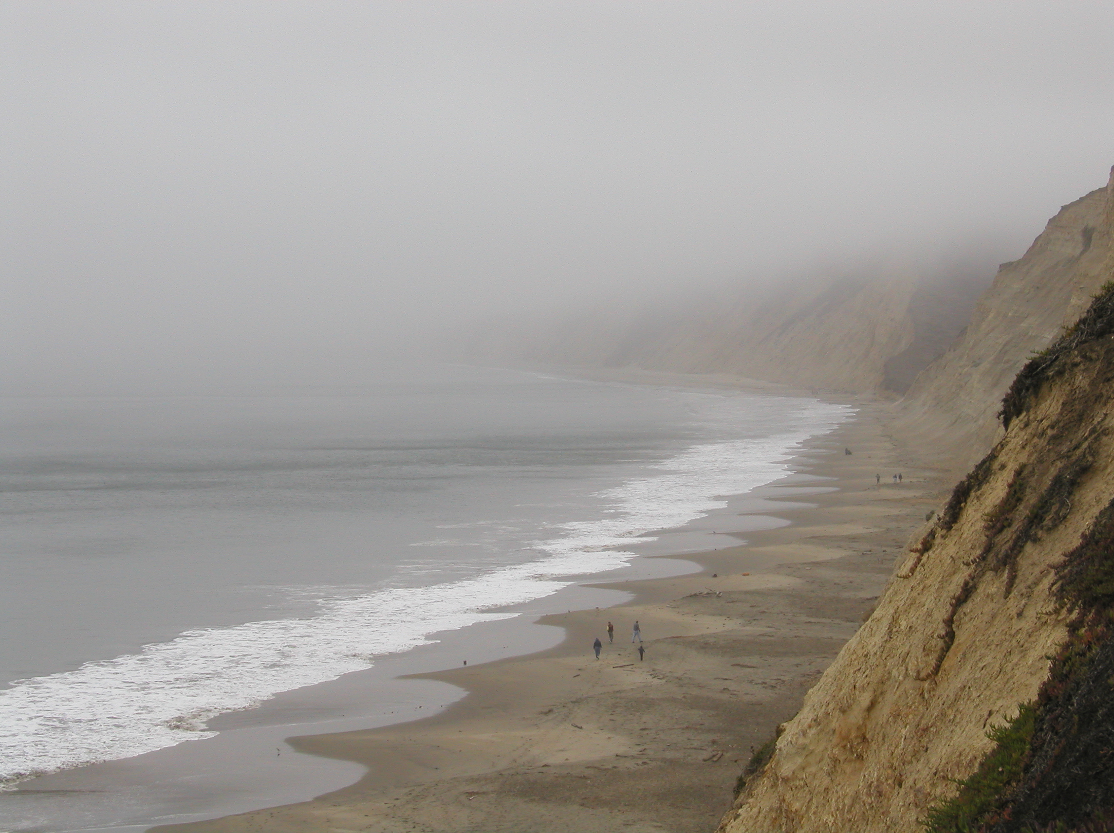 06 Drakes beach looking north