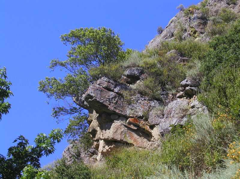 P6050179
