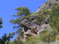 060: Hiking Mt Diablo, 5 Jun 2005