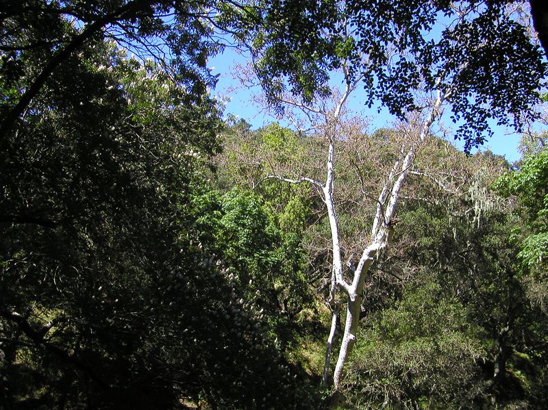 P6050181
