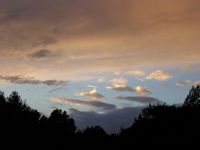 077: Mt Madonna Park, 12 Feb 2006