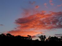 078: Vasona Park Sunset, 13 Feb 2006