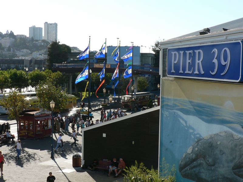 P1000462