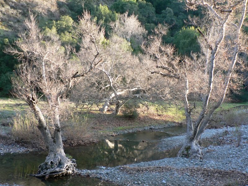 P1000681