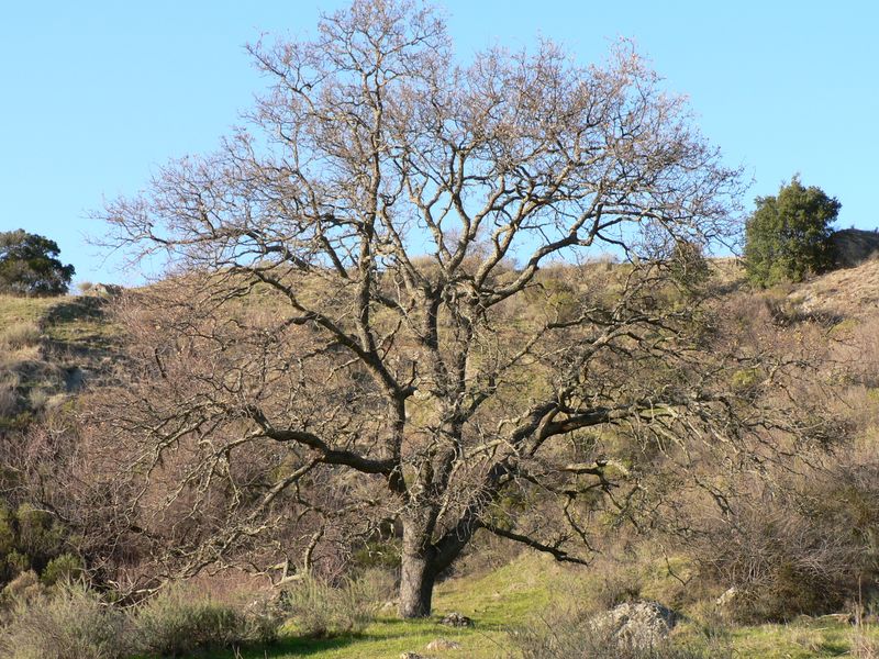 P1000689