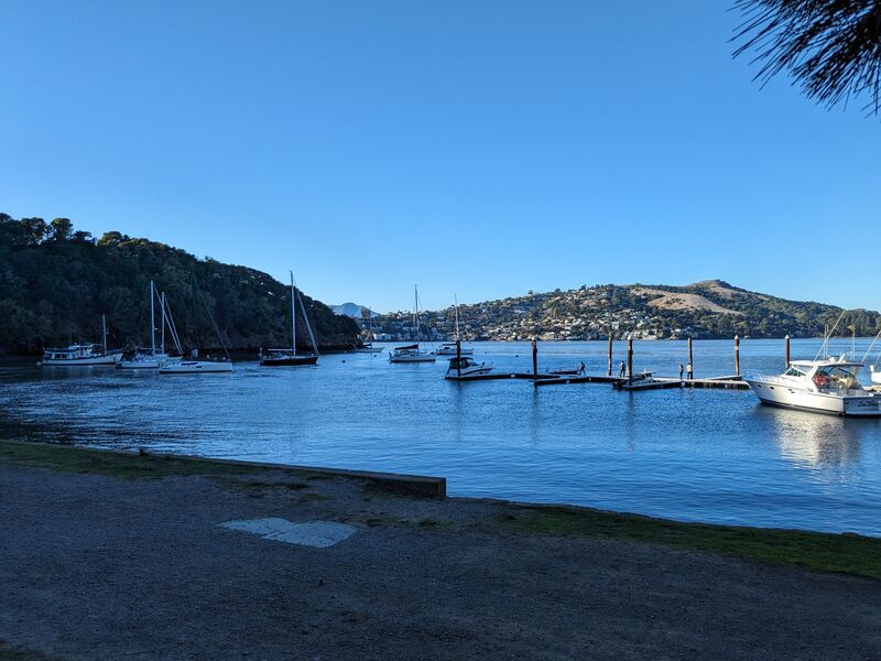 PXL_20231124_230617098