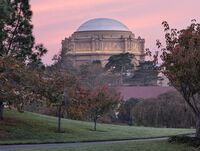 259: San Francisco Presidio, Dec 2025
