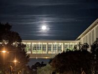 PXL_20251204_140936199