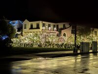 PXL_20251224_044110703