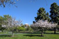 261: San Francisco Presidio, Mar 2026